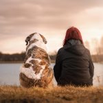 Large Breed Senior Dog Food