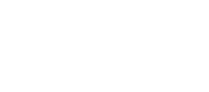 wild-earth-healthy-dog-foods-SF