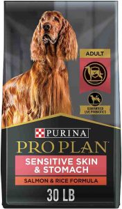 Purina Pro Plan Salmon Dog Food