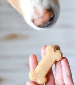 Yummy peanut butter treat for dog