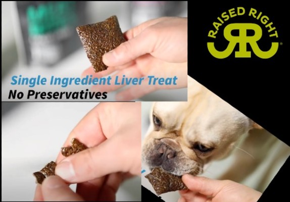 liver dog treats