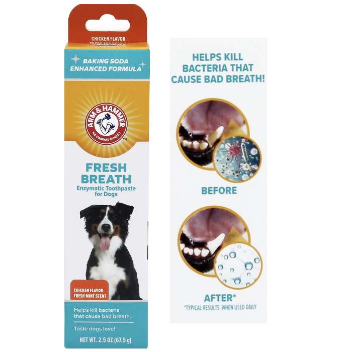 Arm & Hammer Enzymatic Dog Toothpaste Chicken Flavor