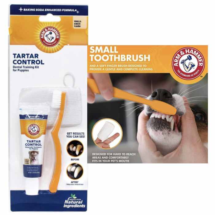 Arm & Hammer Puppy Enzymatic Toothpaste Tartar Control Dental Training Kit