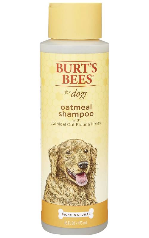 Burt's Bees Oatmeal Dog Shampoo