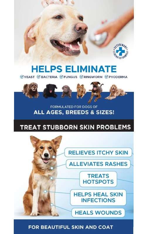 Antibacteria Shampoo for dogs