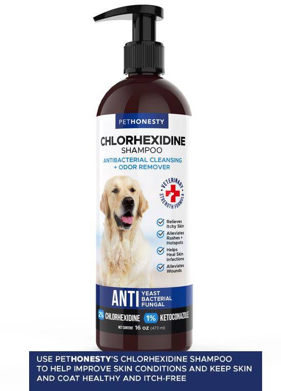 Antifungus, Antibacterial Chlorhexidine Shampoo for Dog