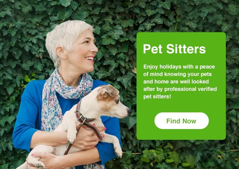Trusted Professional and Verified Pet Sitters