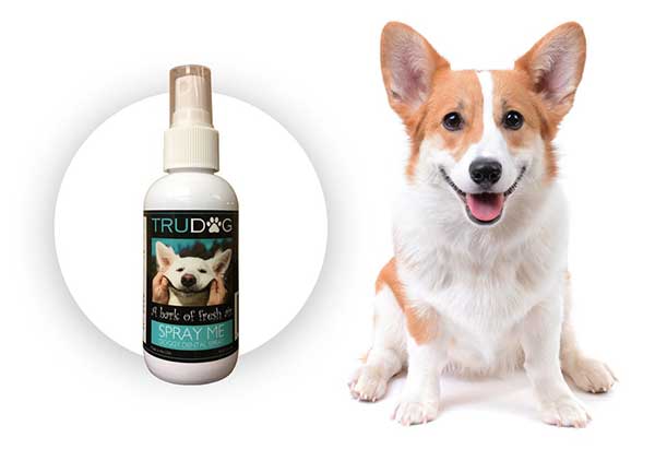 Dog Dental Spray by TruDog