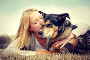 Dog Owner Guide to raising puppy