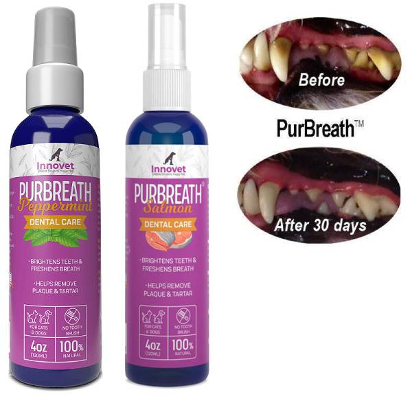 Best Dog Toothpaste Reviews 2023, All Natural & Enzymatic, Puppy Safe