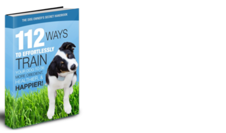 The Dog Owner's Handbook