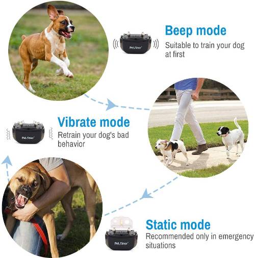 Dog Training Collar