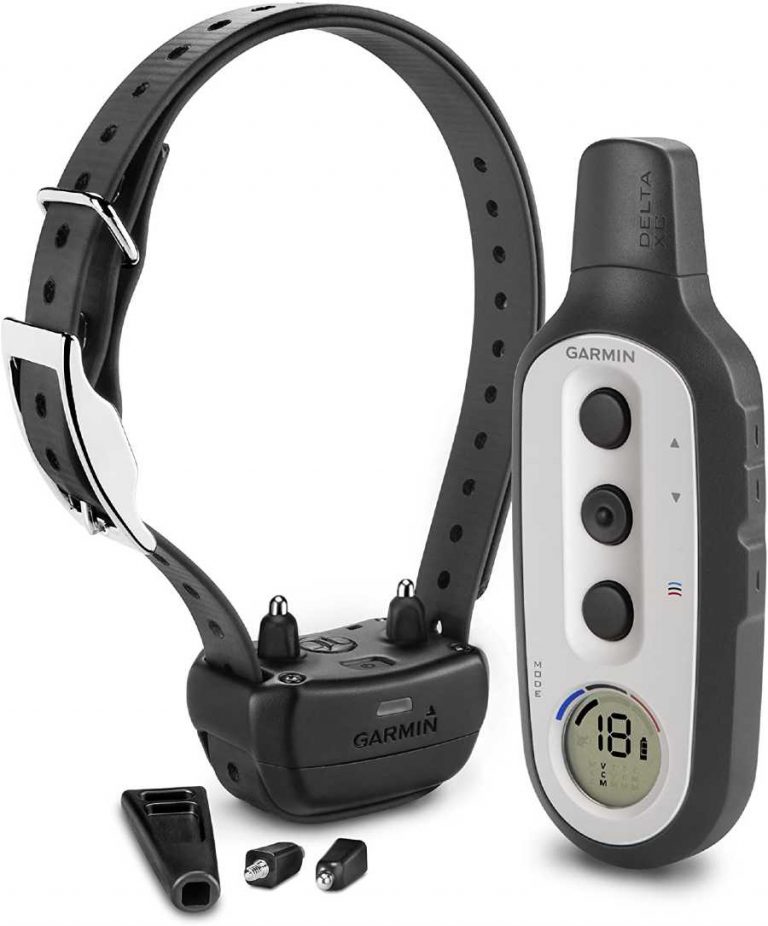 Garmin training collar