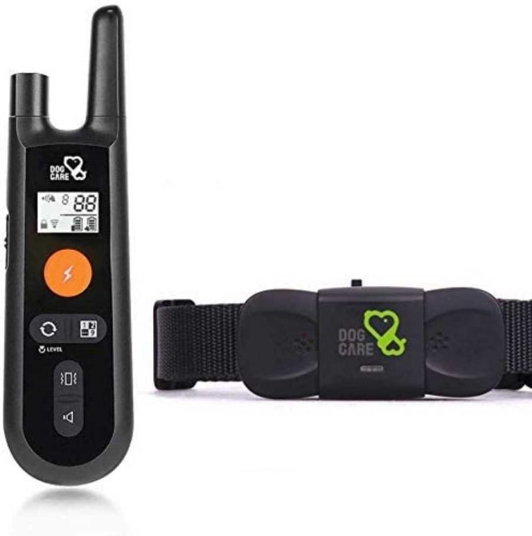 Dog Care Training Collar