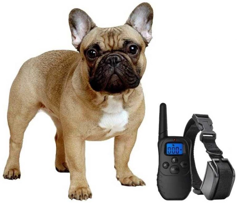 eXuby Shock Collar