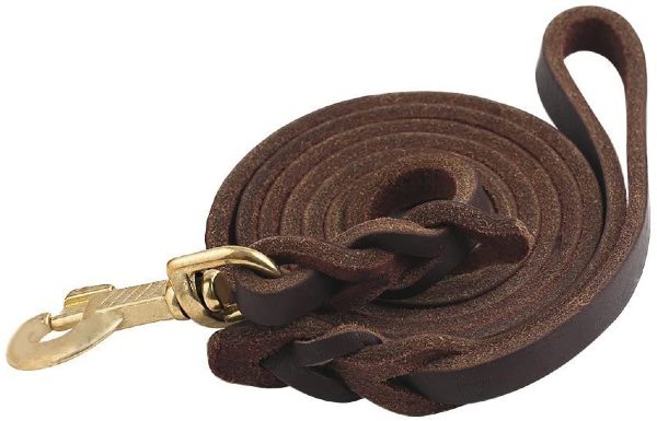 10ft leather dog leash