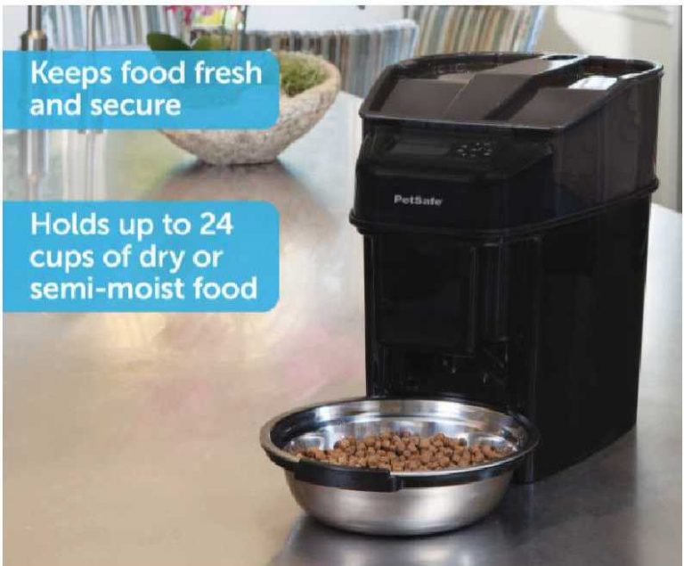 Best Automatic Dog Feeders with Timers Timed Dog Food Dispensers Reviews