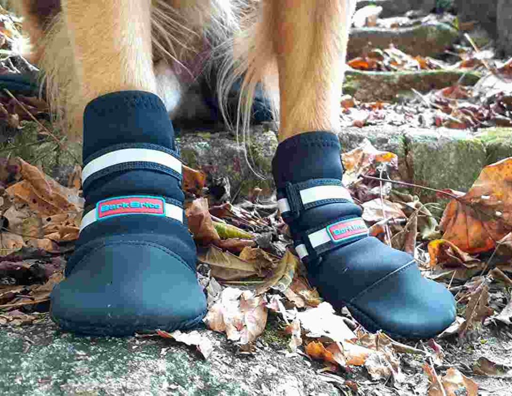 Best Dog Boots For Snow Winter & Nonslip Dog Booties For Hiking 2024