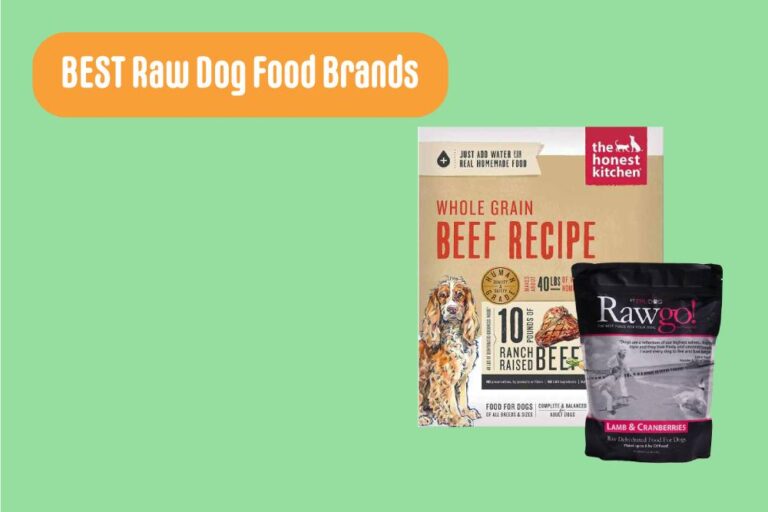 Best Raw Dog Food Reviews 2023 Frozen, Dehydrated Raw Diet