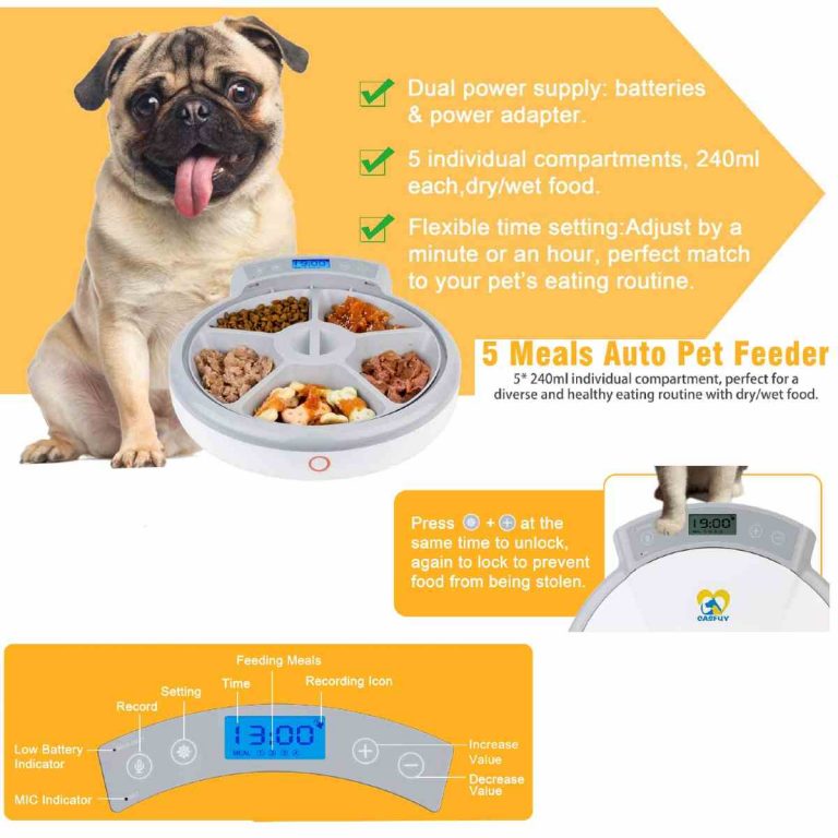 Casfuy Auto Pet Feeder, 5 Meals of Dry & Wet Food Dispenser