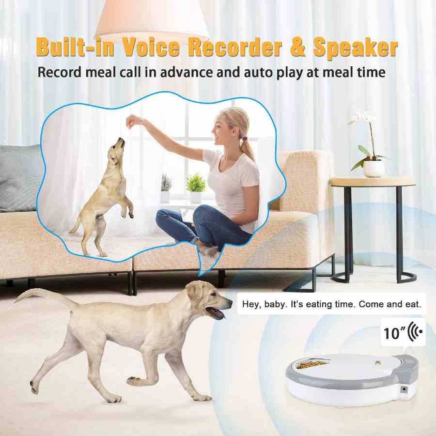 Best Automatic Dog Feeders with Timers Timed Dog Food Dispensers Reviews