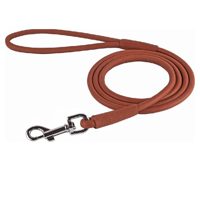 CollarDirect Rolled Leather Dog Leash 6-feet long Brown