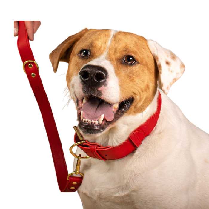 Signature Red Leather Dog Leash
