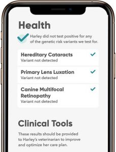 Dog DNA Test Kit