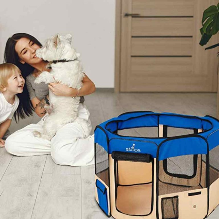 Read more about the article Dog Playpens