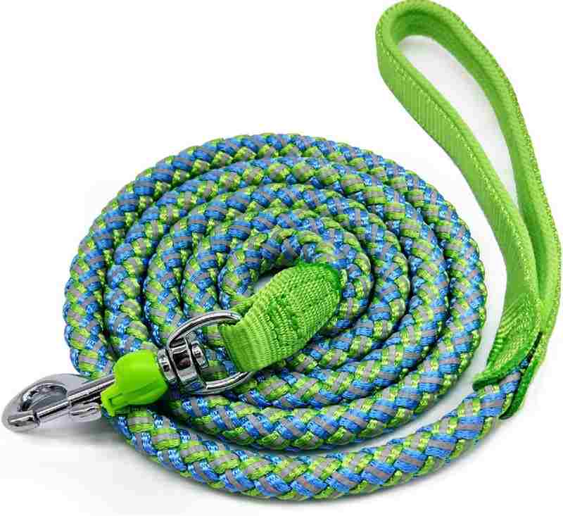 Best Dog Leash Training Paracord, HandsFree, Rope, Double Dog Leashes 2023