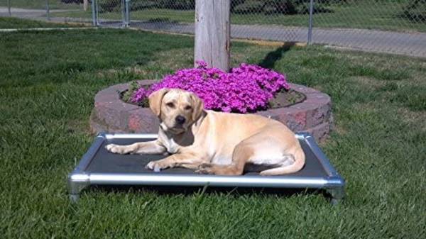 Read more about the article Indestructible Chew Proof Dog Bed