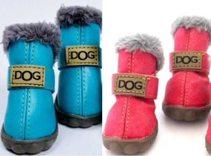 Winter Snow Boots For Dogs