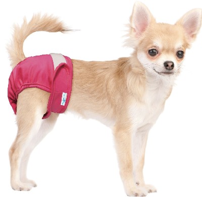 Read more about the article Female Dog Diapers