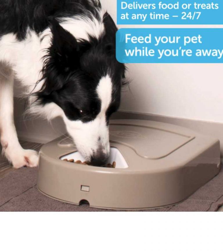 PetSafe Eatwell 5-Meal Automatic Dog & Cat Feeder