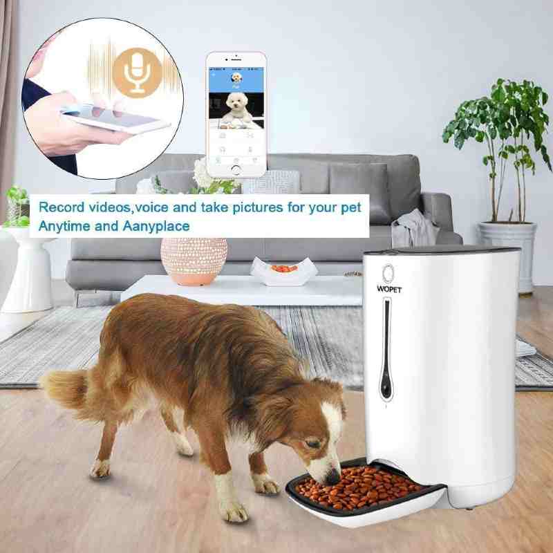 WoPet SmartFeeder - Auto Dog Feeder with timer, voice and video