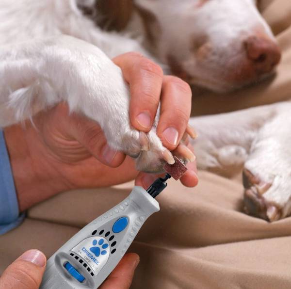 Read more about the article Nail Grinder