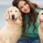 Canned Dog Food
