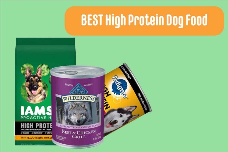 Best High Protein Dog Food Reviews 2024