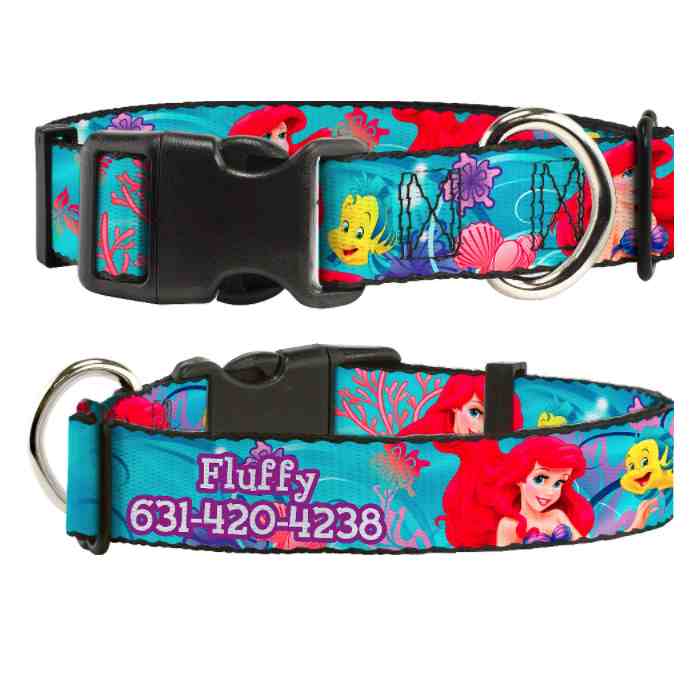 uckle-Down Polyester Personalized Dog Collar