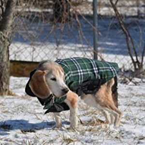 Dog Jacket for Winter
