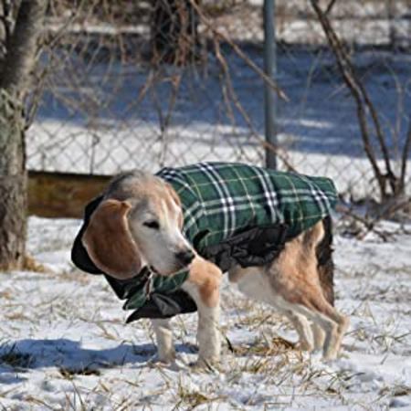 Read more about the article Winter Coats & Jackets