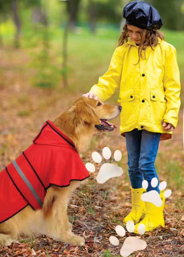 Read more about the article Dog Raincoats