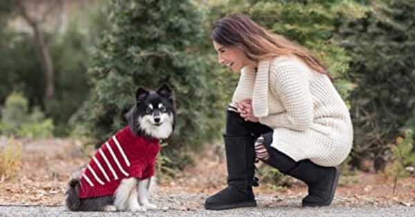 Read more about the article Dog Sweaters