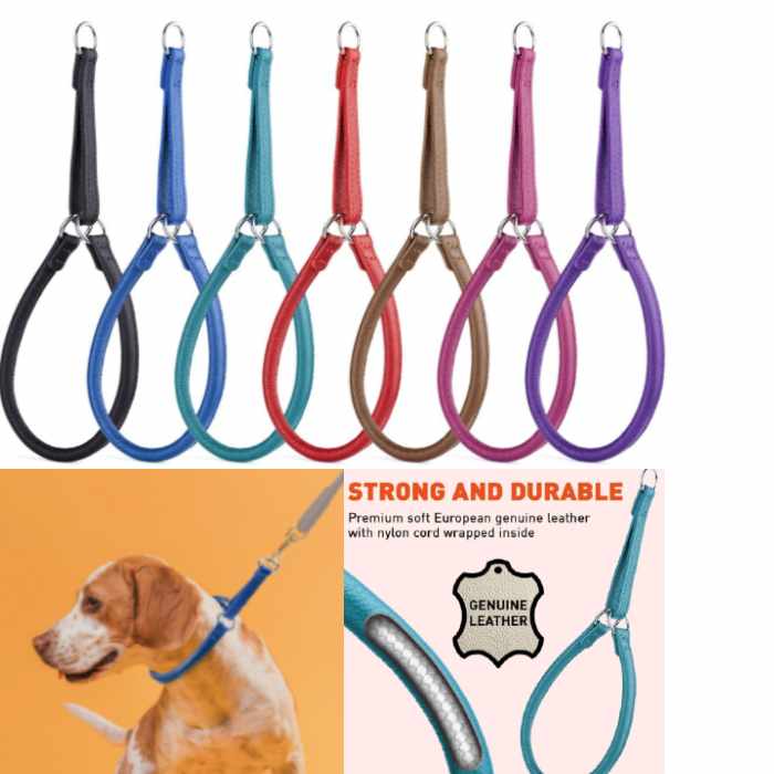 Soft Leather Martingale Dog Collar