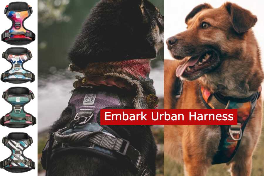 Embark Dog Harness