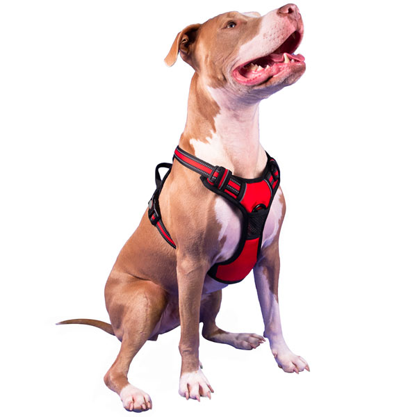 Choke-Free, No Pull Dog Harness