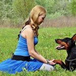High Fiber Dog Food For Anal Gland Problems