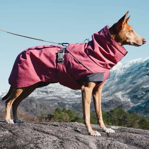 Hurtta winter dog coat