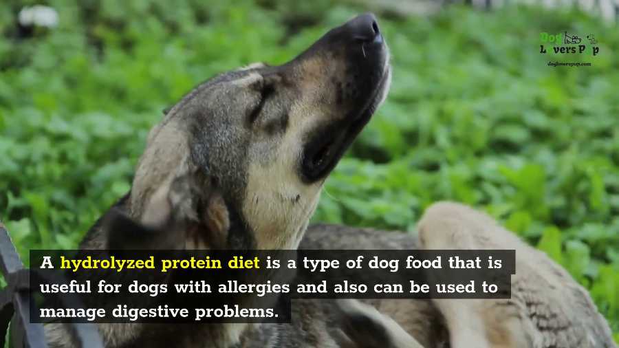 Hydrolyzed Protein Dog Food Benefits