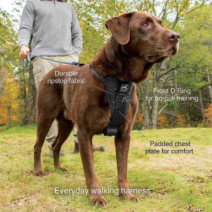 Kurgo Dog Harness for everyday walking
